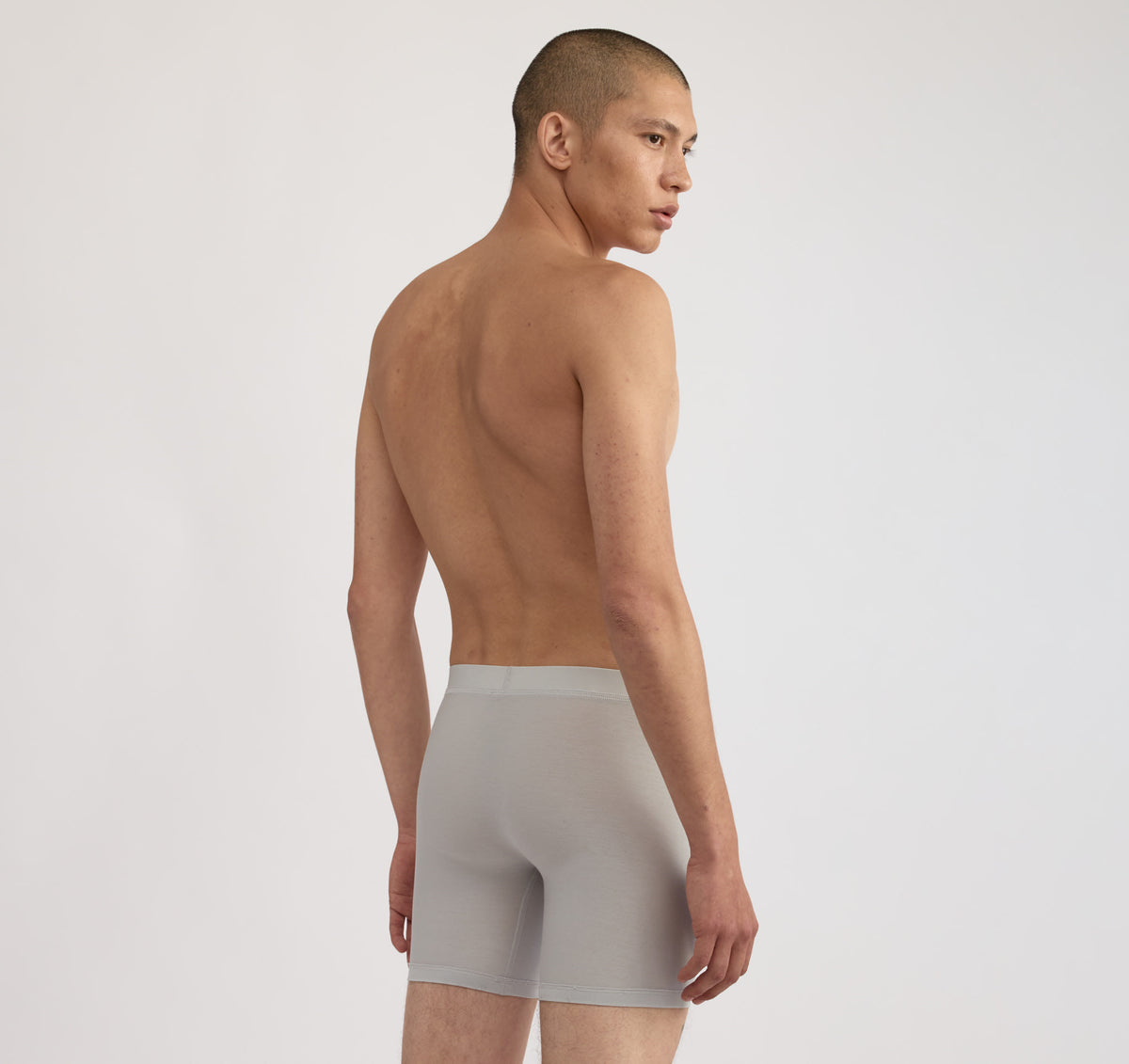 Premium Boxer Briefs 12-pack - Grunge / Hazy / Truffle – view 4