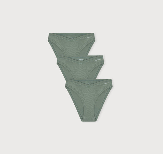 Flex Cheeky Briefs 3-pack